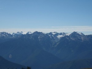 View from Hurriance Ridge