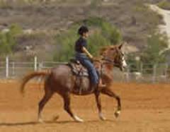 Horsebackriding