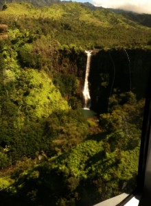 hawaii-kauai-waterfal-jungle