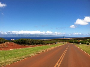 hawaii-maui-road-lanscape