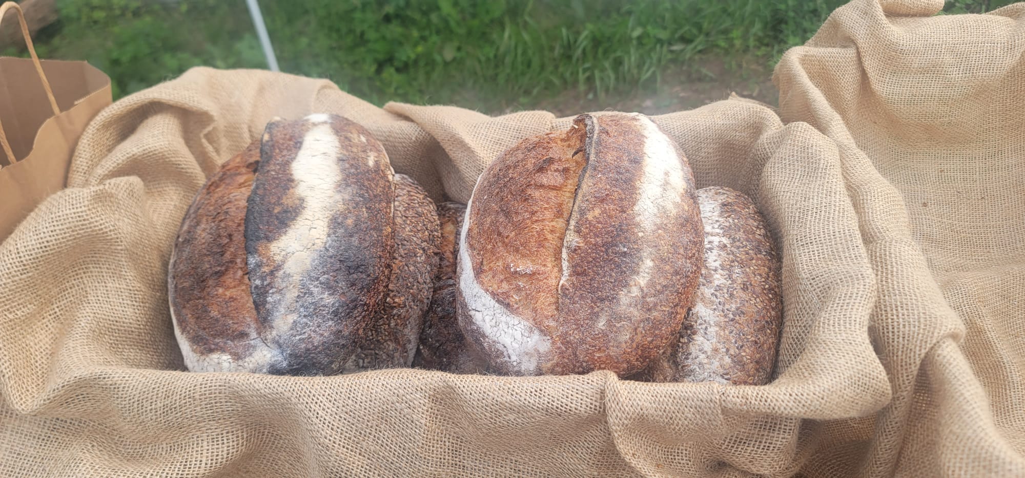 https://yeahthatskosher.com/wp-content/uploads/2023/07/marble-grain-monticello-summer-2023-bread.jpeg